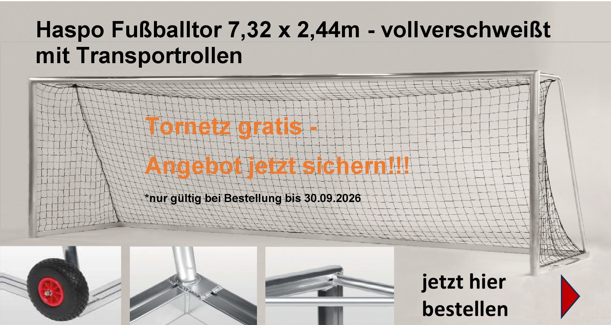Haspo Großfeldtor 104NRN inkl. Tornetz