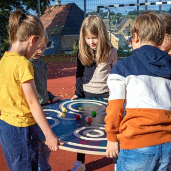 Erzi 46252TEamDIsc I TOBA-Sport.Shop