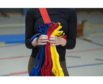 Betzold-Mannschaftsbaender-33817 I TOBA-Sport.Shop